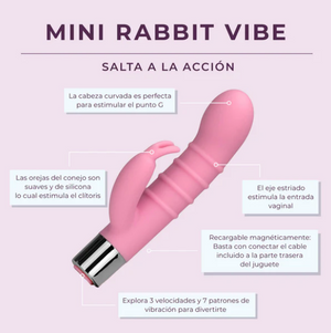 Mini Rabbit Vibe- Combo Plus