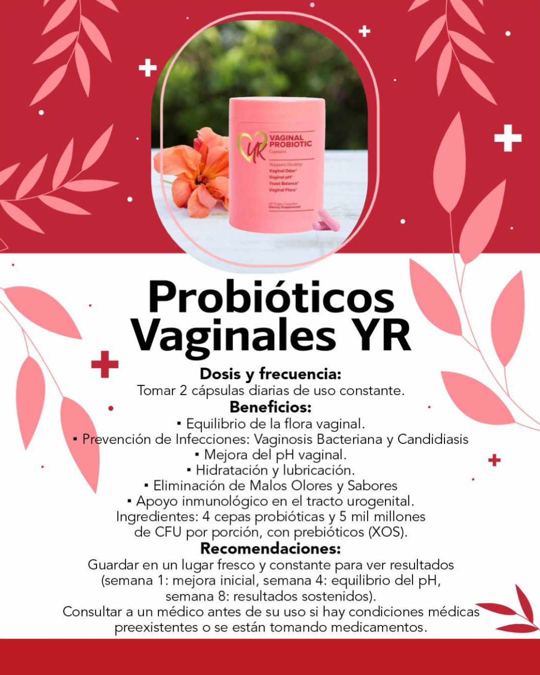 Probiotico Vaginal YR