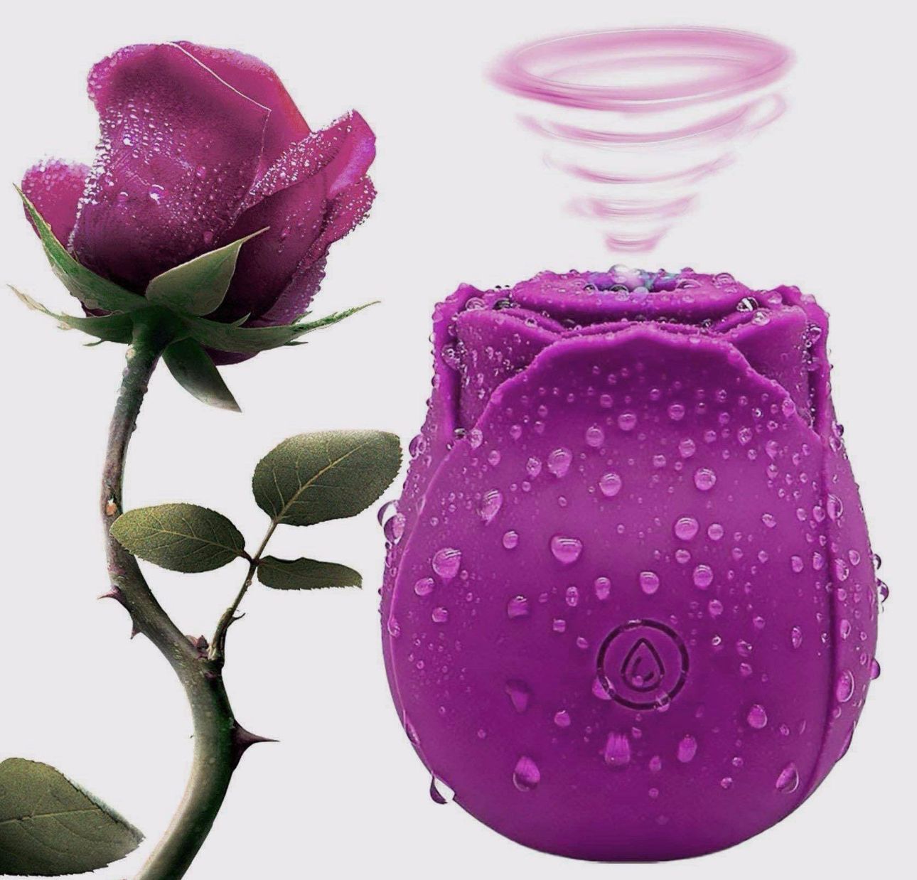 Best Rose YR